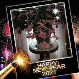 Meet your Posher, Rita